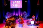 jazz–nol_jrome-lelard-trio-5